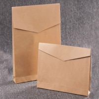 PC012 Custom-made paper bag shopping bag clothing express bag DIY design eco-friendly kraft paper packaging bag eco-friendly kraft paper envelope type eco-friendly bag supplier